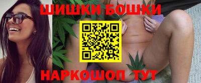 мдпв Бийск