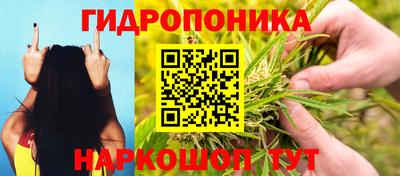 мдпв Бийск