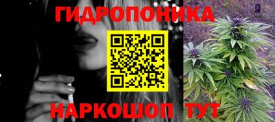 мдпв Бийск