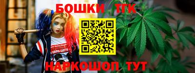 мдпв Бийск