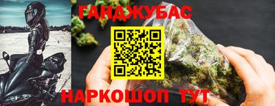 мдпв Бийск