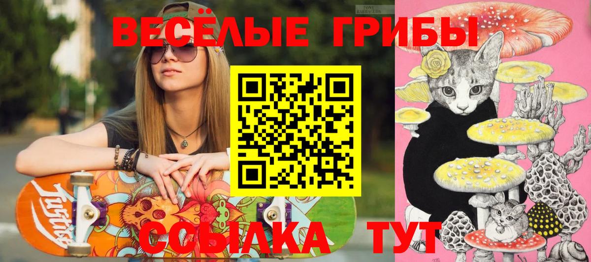 Псилоцибиновые грибы GOLDEN TEACHER Каменск-Уральский
