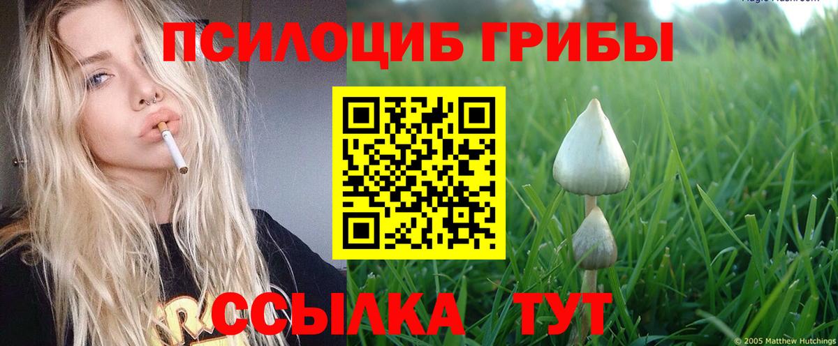 Галлюциногенные грибы мицелий  Вход с VPN  Галлюциногенные грибы GOLDEN TEACHER  Каменск-Уральский 